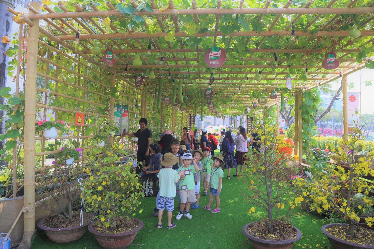 Người Sài Gòn háo hức với hội hoa xuân Phú Mỹ Hưng ảnh 4