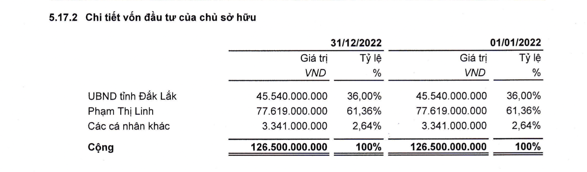 Tỷ lệ sở hữu cổ phần có sự chênh lệnh quá lớn. Nguồn: BCTC doanh nghiệp.