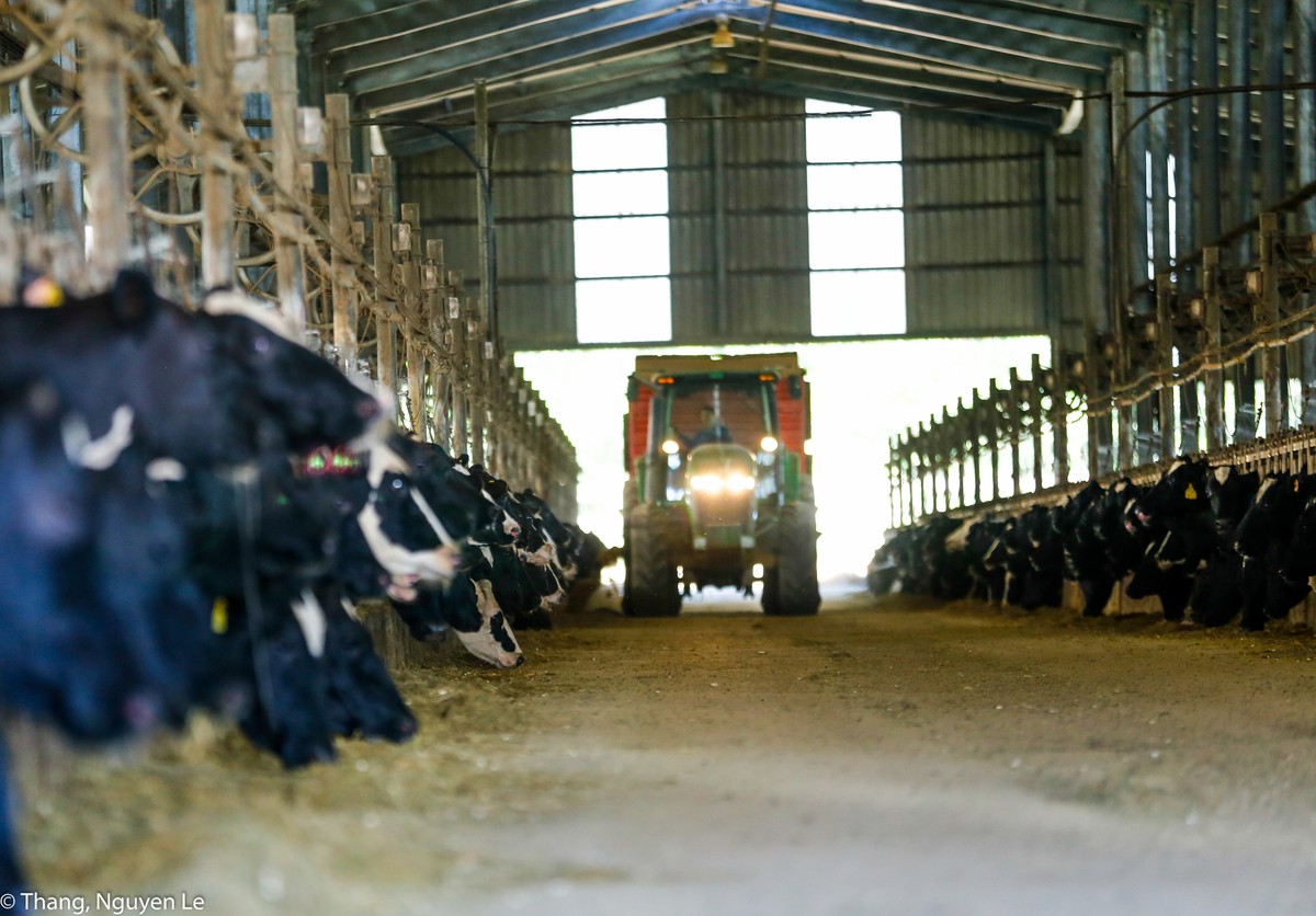 BAC A BANK đồng hành cùng nhiều dự án nông nghiệp cao