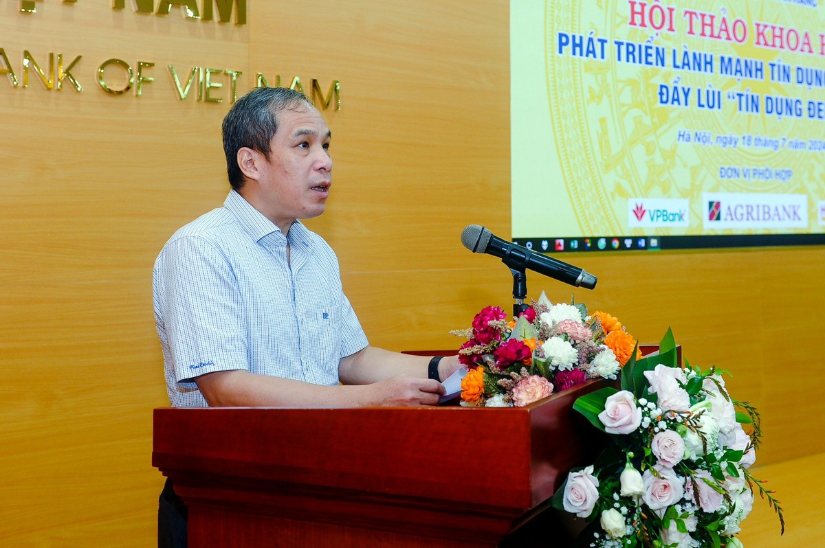 Ông Đoàn Thái Sơn, Phó Thống đốc NHNN phát biểu tại Hội thảo Ông Đoàn Thái Sơn, Phó Thống đốc NHNN phát biểu tại Hội thảo