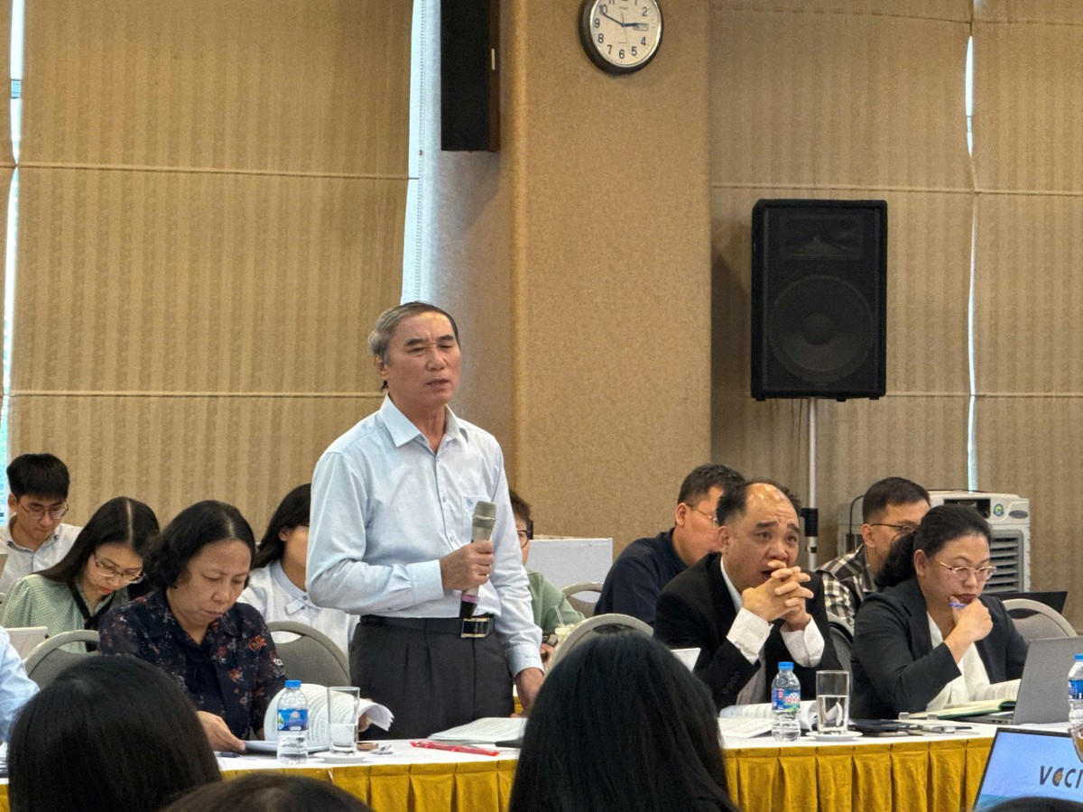 Các chuyên gia, doanh nghiệp, hiệp hội... tham gia đóng góp ý kiến tại Hội thảo