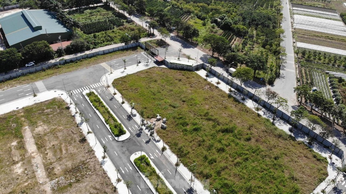 Khu đất gần 5 ha ở thôn Cổ Dương (xã Tiên Dương, huyện Đông Anh, Hà Nội) đã bị bà Nguyễn Thị Loan, Chủ tịch HĐQT Công ty cổ phần Y Dược Vimedimex dùng "quân xanh, quân đỏ", cấu kết cán bộ tổ chức dìm giá, gây thiệt hại khoảng 200 tỷ đồng cho Nhà nước vào năm 2020. Khu đất gần 5 ha ở thôn Cổ Dương (xã Tiên Dương, huyện Đông Anh, Hà Nội) đã bị bà Nguyễn Thị Loan, Chủ tịch HĐQT Công ty cổ phần Y Dược Vimedimex dùng "quân xanh, quân đỏ", cấu kết cán bộ tổ chức dìm giá, gây thiệt hại khoảng 200 tỷ đồng cho Nhà nước vào năm 2020.