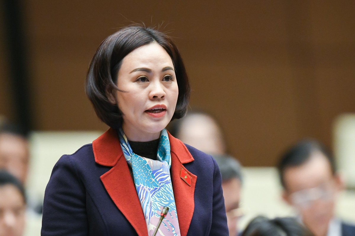 Đại biểu Trần Thị Hồng Thanh (đoàn Ninh Bình) Đại biểu Trần Thị Hồng Thanh (đoàn Ninh Bình)