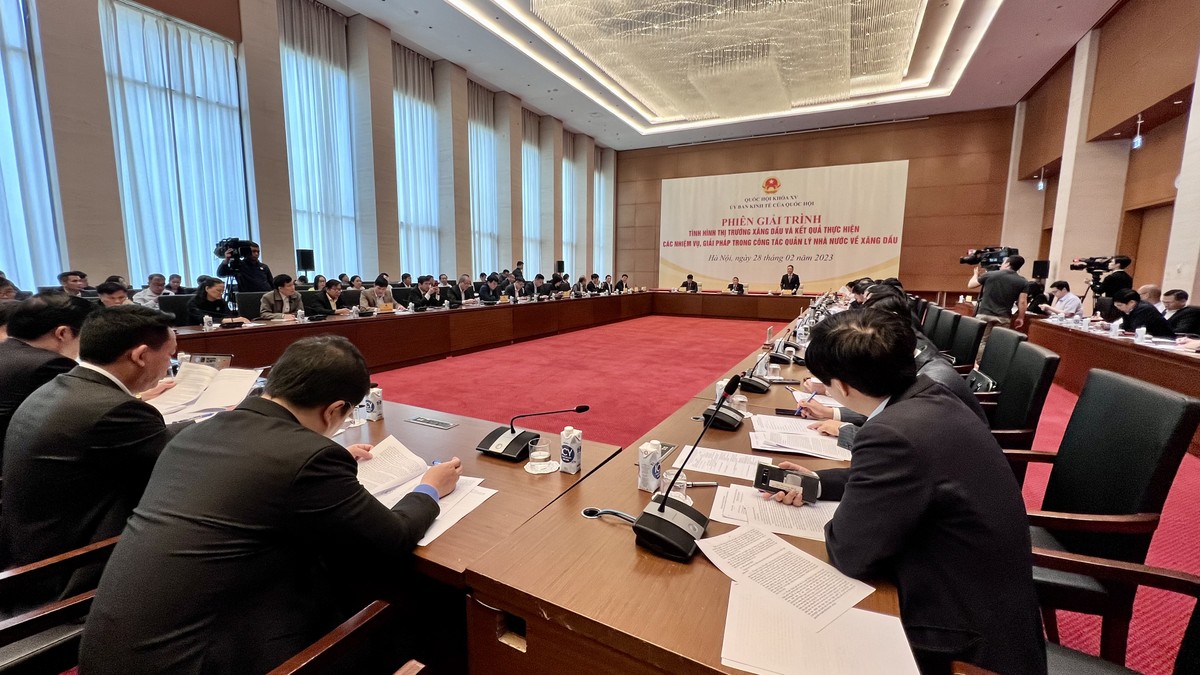 Toàn cảnh phiên giải trình (Ảnh: M.M) Toàn cảnh phiên giải trình (Ảnh: M.M)