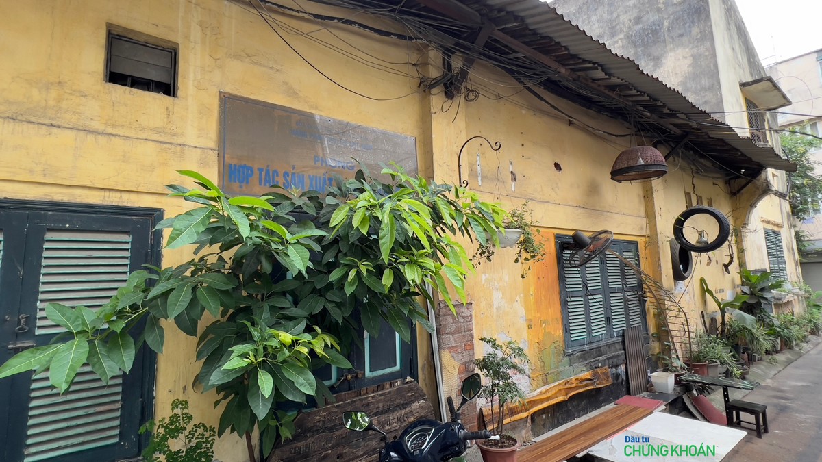 Những tấm biển hiệu bị cây cối che lấp