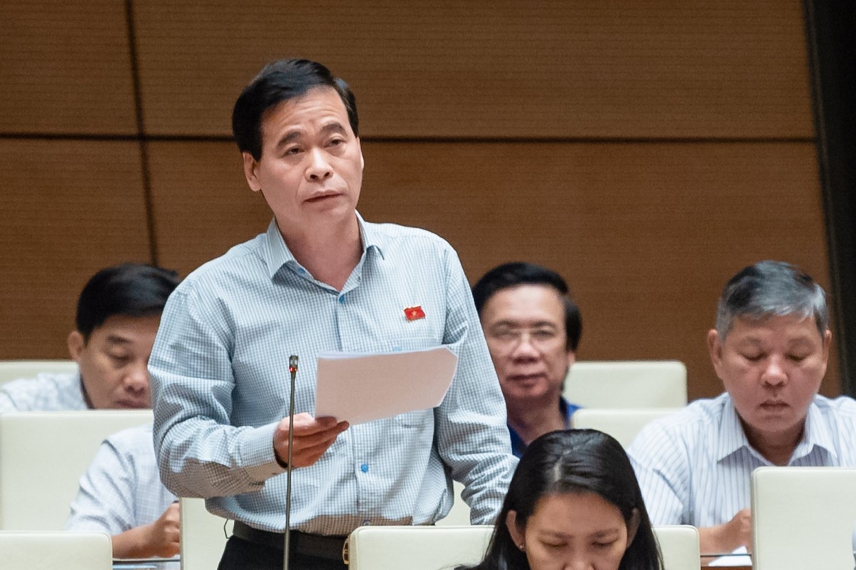 Đại biểu Nguyễn Mạnh Cường (đoàn Quảng Bình) Đại biểu Nguyễn Mạnh Cường (đoàn Quảng Bình)