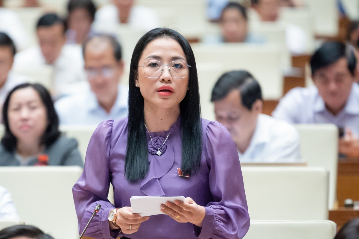 Đại biểu Trần Khánh Thu (đoàn Thái Bình) Đại biểu Trần Khánh Thu (đoàn Thái Bình)
