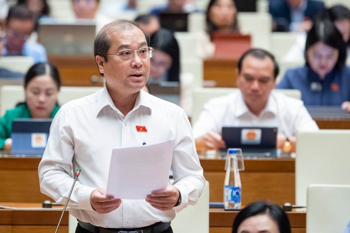 Đại biểu Trình Lam Sinh (đoàn An Giang) Đại biểu Trình Lam Sinh (đoàn An Giang)