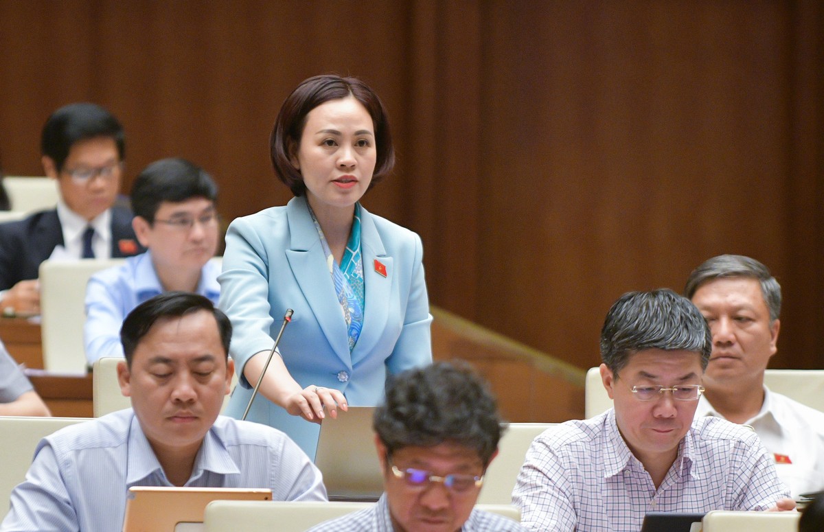 Đại biểu Trần Thị Hồng Thanh (đoàn Ninh Bình) Đại biểu Trần Thị Hồng Thanh (đoàn Ninh Bình)