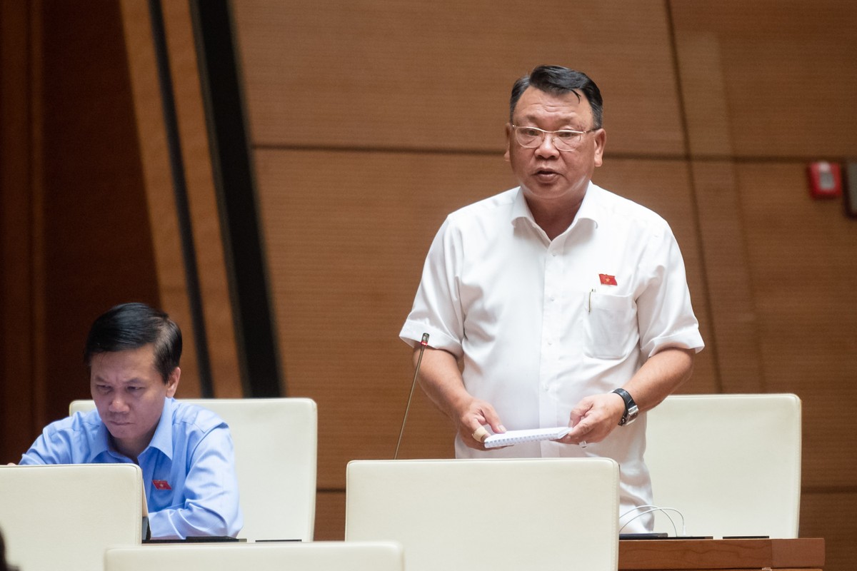 Đại biểu Nguyễn Tạo (đoàn Lâm Đồng)