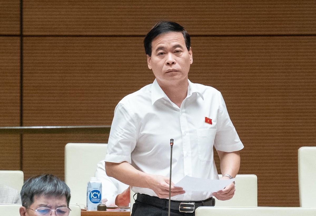 Đại biểu Nguyễn Mạnh Cường (đoàn Quảng Bình) Đại biểu Nguyễn Mạnh Cường (đoàn Quảng Bình)