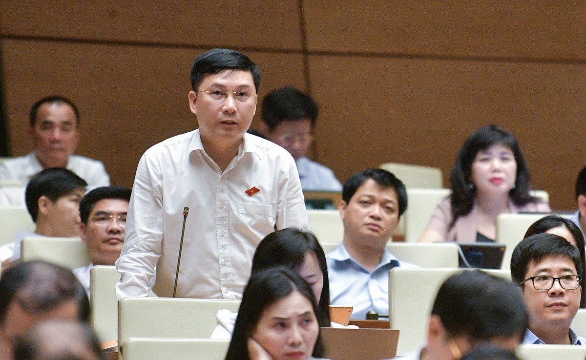 Đại biểu Lê Hoàng Anh (đoàn Gia Lai) Đại biểu Lê Hoàng Anh (đoàn Gia Lai)