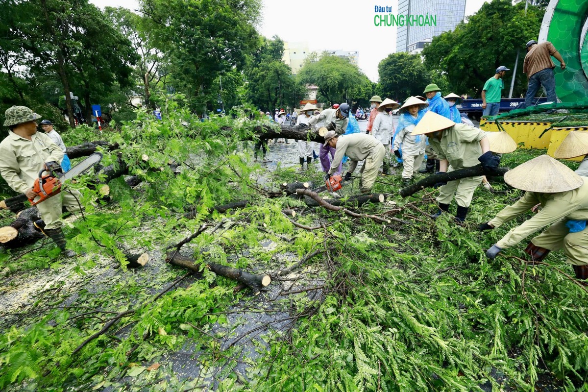 Công nhân vệ sinh môi trường khẩn trương thu dọn cây đổ Công nhân vệ sinh môi trường khẩn trương thu dọn cây đổ