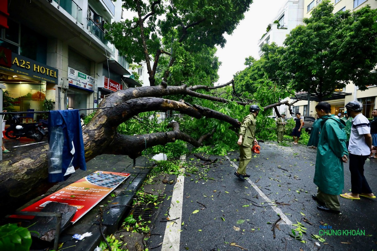 Lực lượng chức năng phối hợp với người dân vệ sinh đường phố trên phố Phan Chu Trinh Lực lượng chức năng phối hợp với người dân vệ sinh đường phố trên phố Phan Chu Trinh