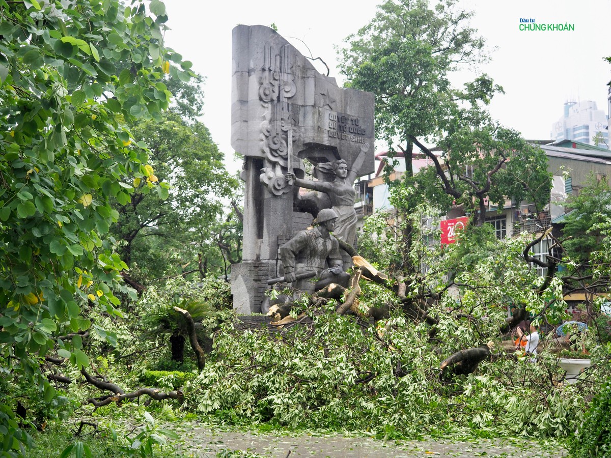 Cành cây hoa sữa gãy la liệt, phủ kín khuôn viên vườn hoa Hàng Đậu Cành cây hoa sữa gãy la liệt, phủ kín khuôn viên vườn hoa Hàng Đậu