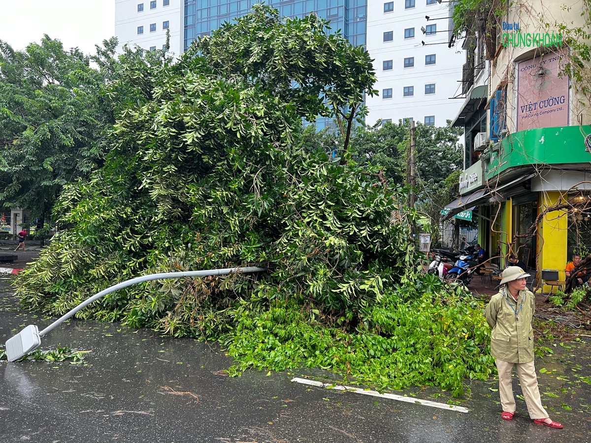 Một cột đèn đường trên đường Giải Phóng gãy gục vì bị cây đè lên Một cột đèn đường trên đường Giải Phóng gãy gục vì bị cây đè lên