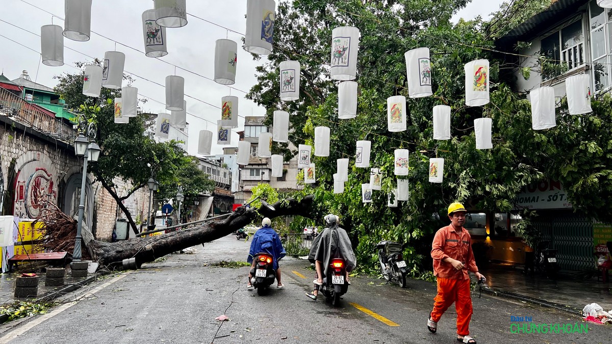 Cây đổ ngang trên phố Phùng Hưng, nhân viên điện lực đang ứng trực sự cố để đảm bảo an toàn cho người dân Cây đổ ngang trên phố Phùng Hưng, nhân viên điện lực đang ứng trực sự cố để đảm bảo an toàn cho người dân