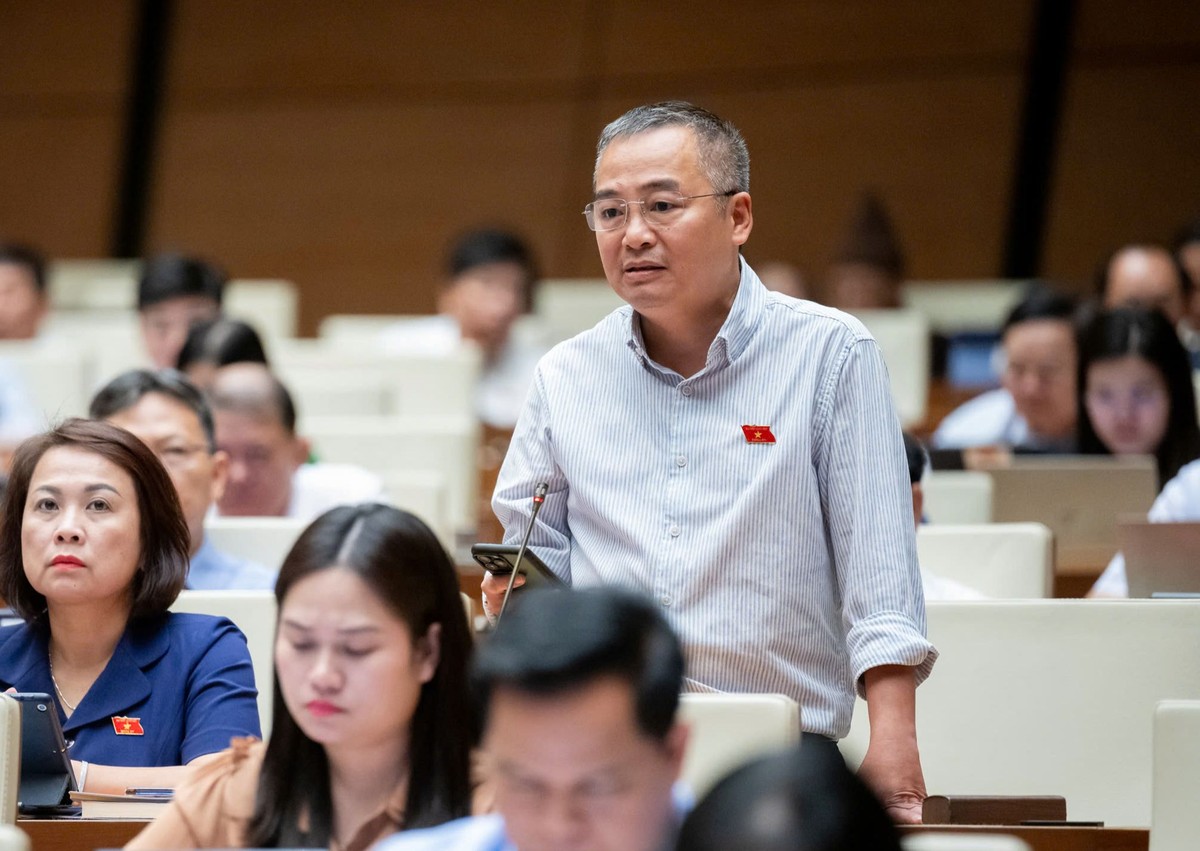 Đại biểu Nguyễn Lân Hiếu (đoàn Bình Định)