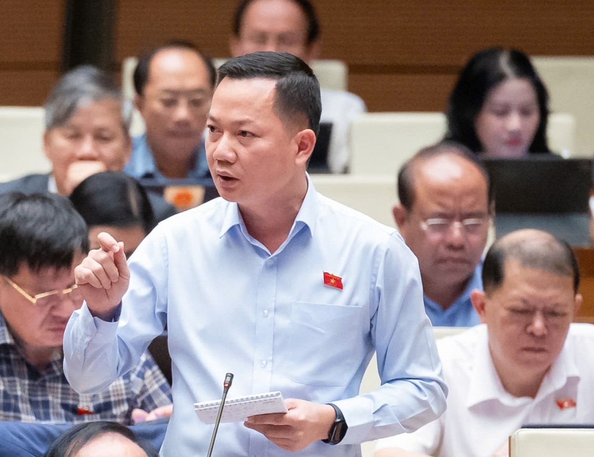 Đại biểu Trịnh Xuân An (đoàn Đồng Nai)