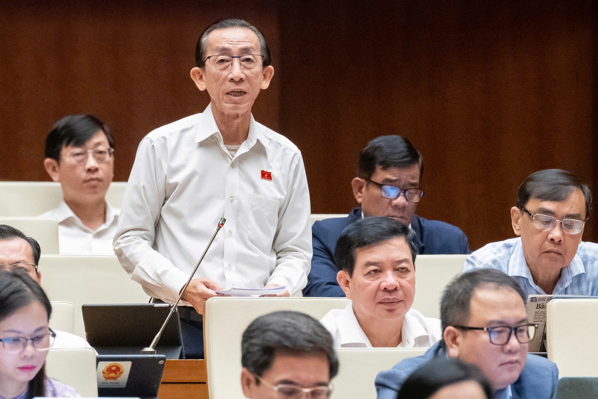 Đại biểu Trần Hoàng Ngân (đoàn Tp.HCM)