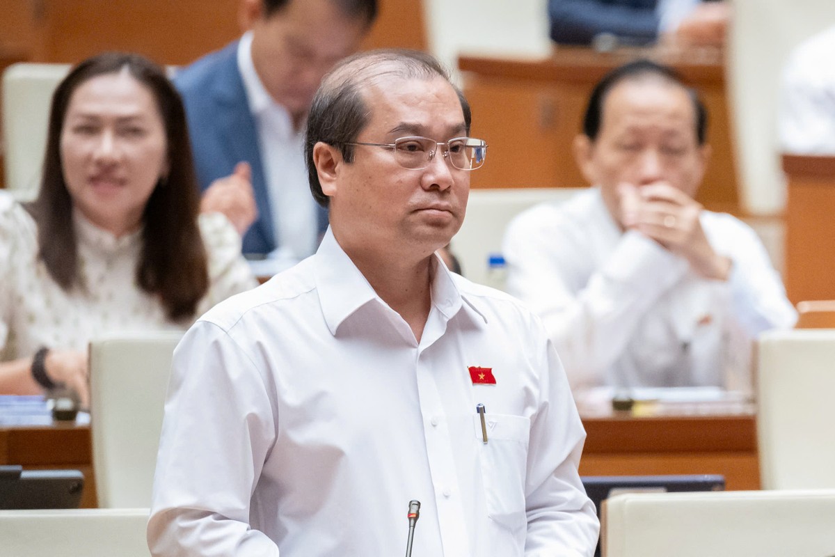 Đại biểu Trình Lam Sinh (đoàn An Giang)