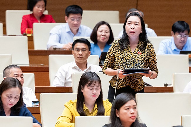 Đại biểu Lý Tiết Hạnh (đoàn Bình Định) Đại biểu Lý Tiết Hạnh (đoàn Bình Định)