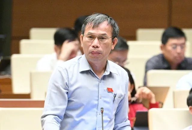 Đại biểu Đồng Ngọc Ba (đoàn Bình Định)