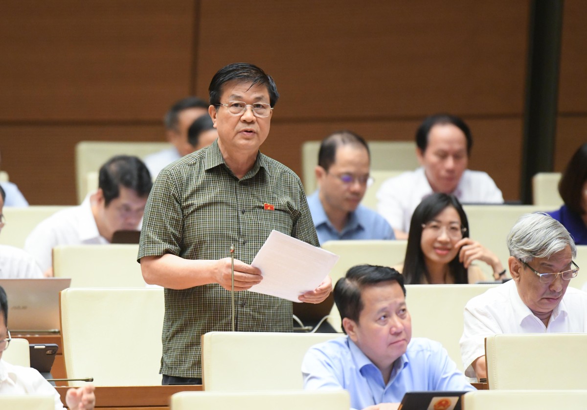 Đại biểu Đỗ Ngọc Thịnh (đoàn Khánh Hoà)