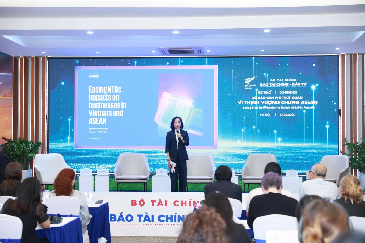 Bà Nguyễn Mai Phương trình bày tham luận tại Hội thảo sáng 27/6. Ảnh: Đức Thanh