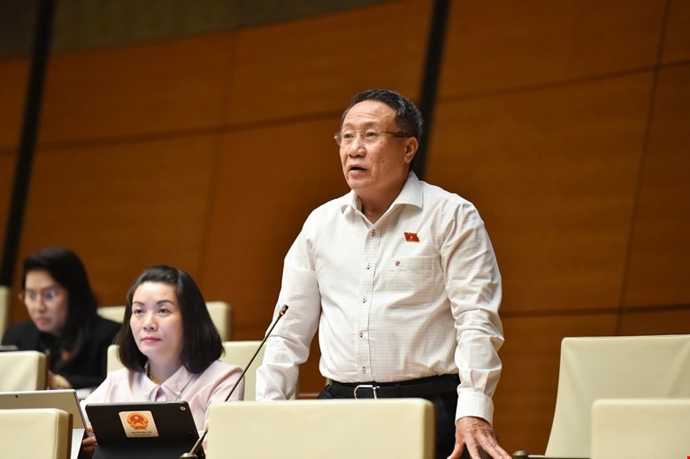 Đại biểu Hà Sỹ Đồng (đoàn Quảng Trị)