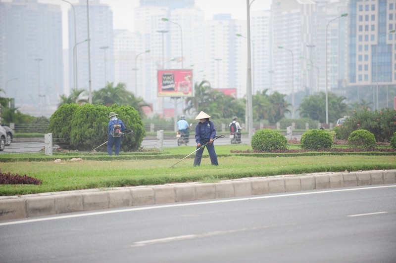 Hà Nội cắt cỏ trở lại: Người dân đỡ cảnh bị cỏ bít lối ảnh 9