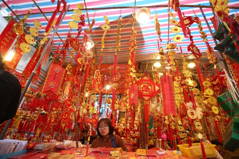 Hình ảnh linh vật năm mới xuất hiện khắp phố Hà Nội ảnh 10