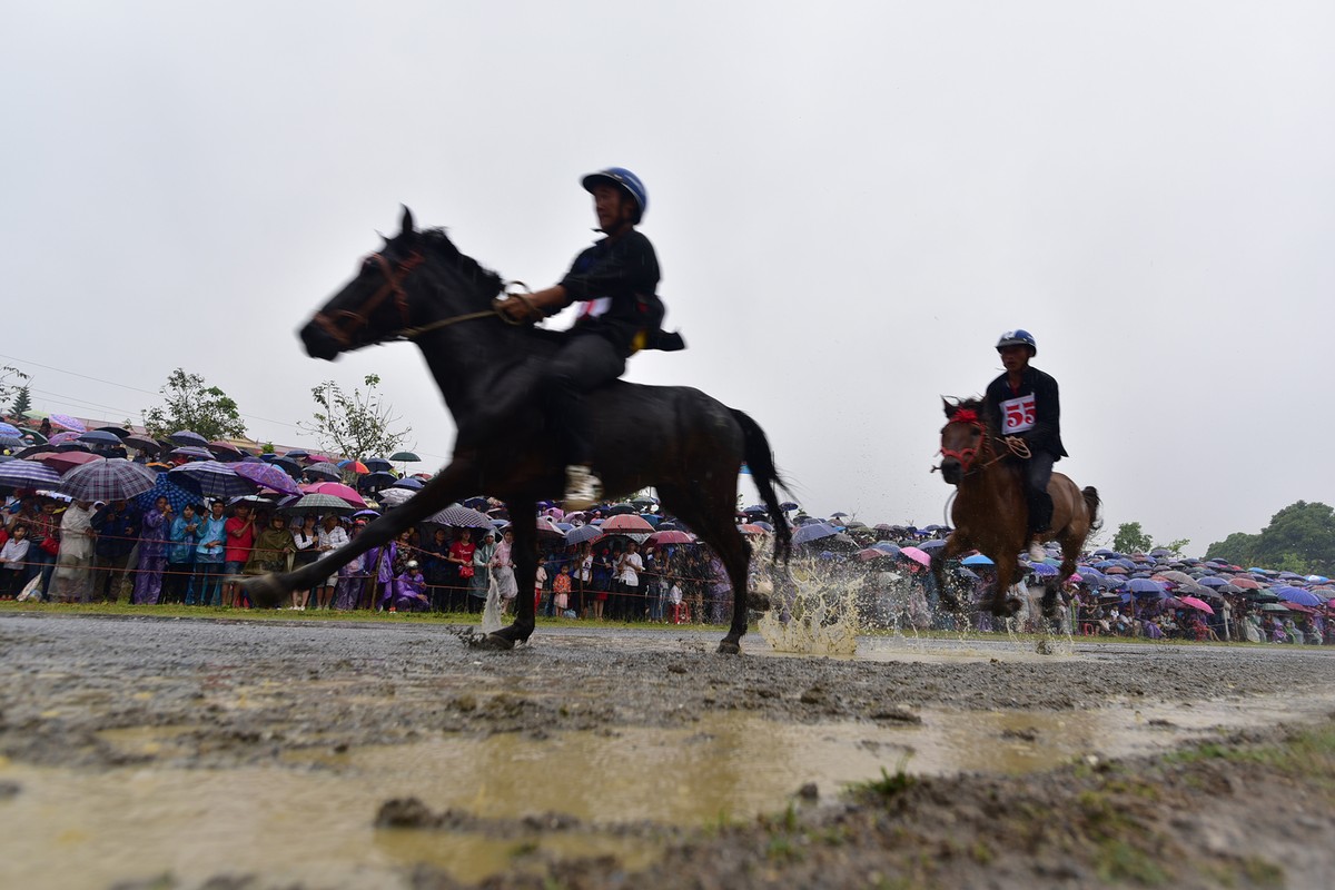 Thủy chiến đua ngựa có một không hai trên cao nguyên Bắc Hà ảnh 7