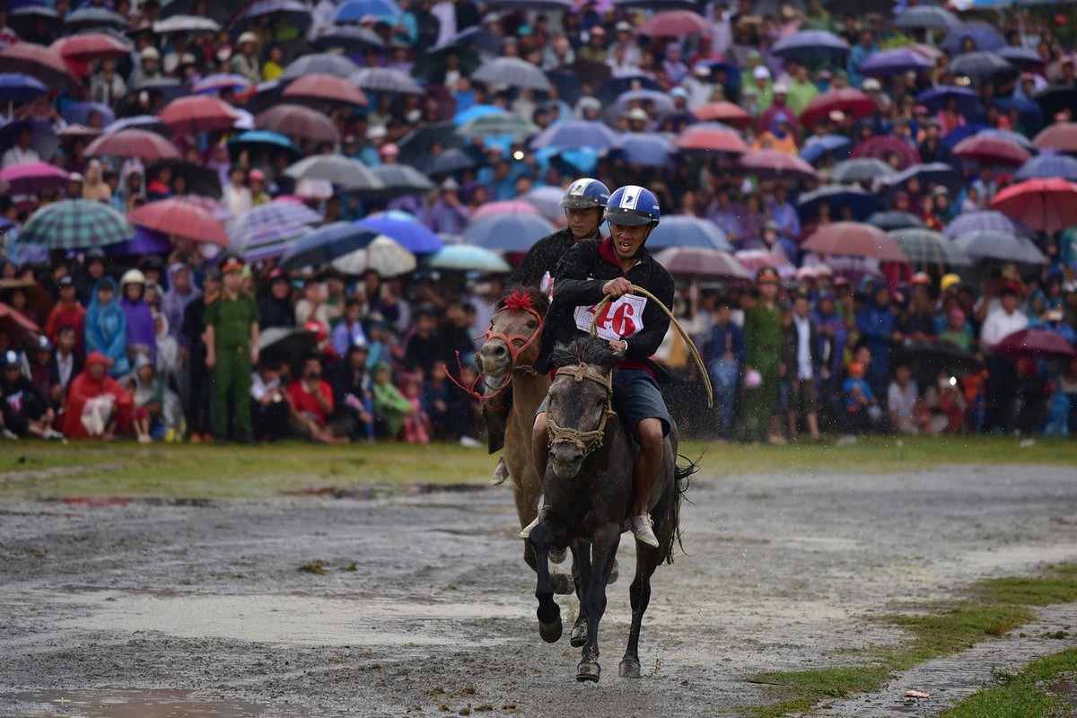 Thủy chiến đua ngựa có một không hai trên cao nguyên Bắc Hà ảnh 9