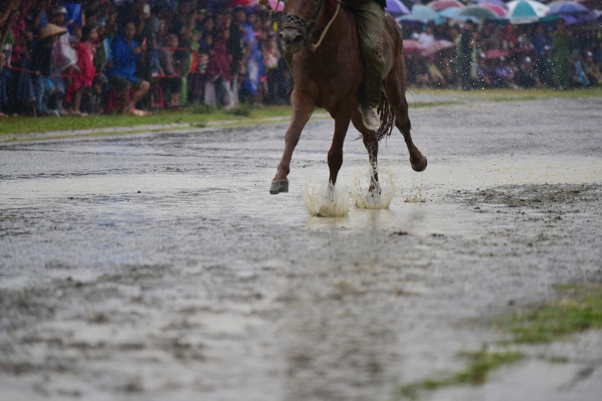 Thủy chiến đua ngựa có một không hai trên cao nguyên Bắc Hà ảnh 6