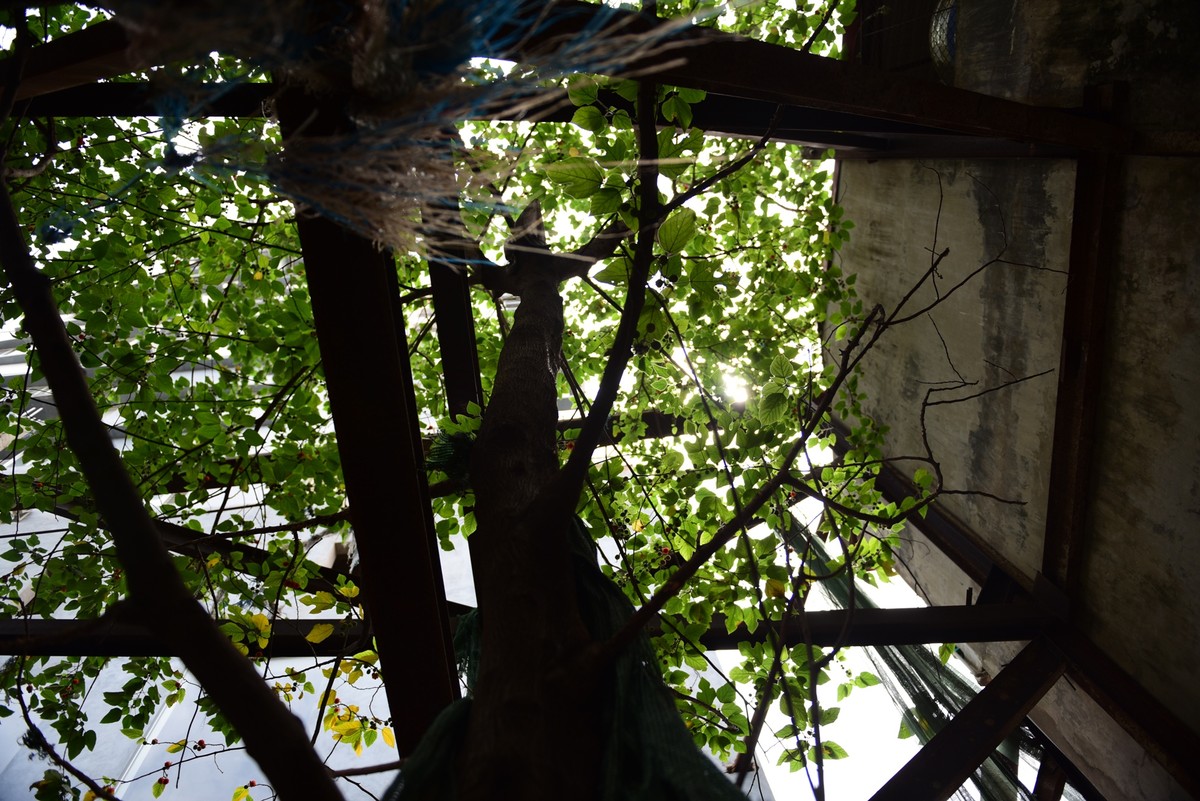 Hà Nội: Người dân sống thấp thỏm trong nhà bọc sắt ảnh 8