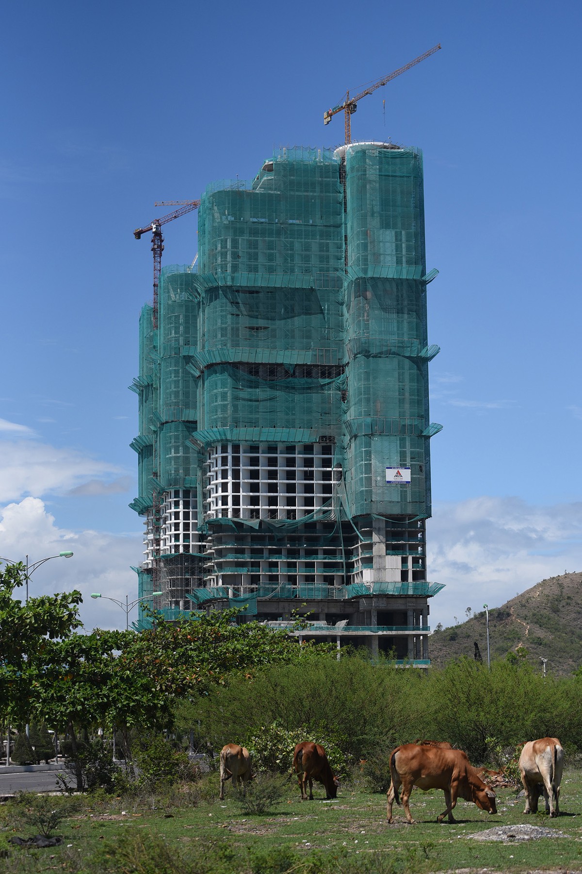 Rừng bê tông, cốt thép condotel quây biển Nha Trang  ảnh 12