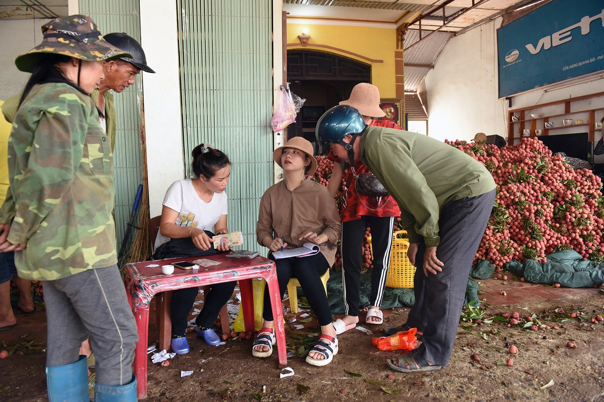 Lần đầu tiên, 600 tấn vải thiều Bắc Giang xuất khẩu thành công sang Nhật Bản  ảnh 3