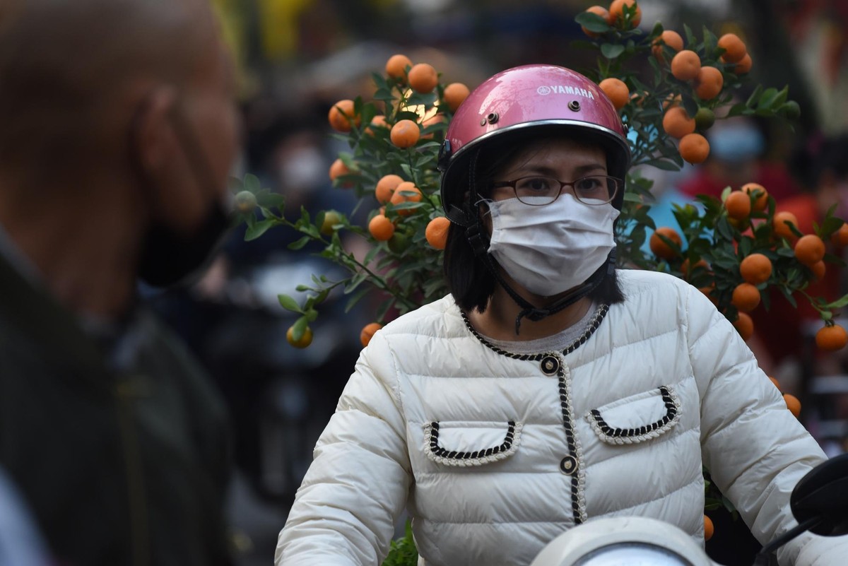 Nhiều người đã sắm quất cảnh chơi tết, mỗi chậu quất cảnh cỡ nhỏ này được bán 200 đến 400 nghìn đồng. Nhiều người đã sắm quất cảnh chơi tết, mỗi chậu quất cảnh cỡ nhỏ này được bán 200 đến 400 nghìn đồng.