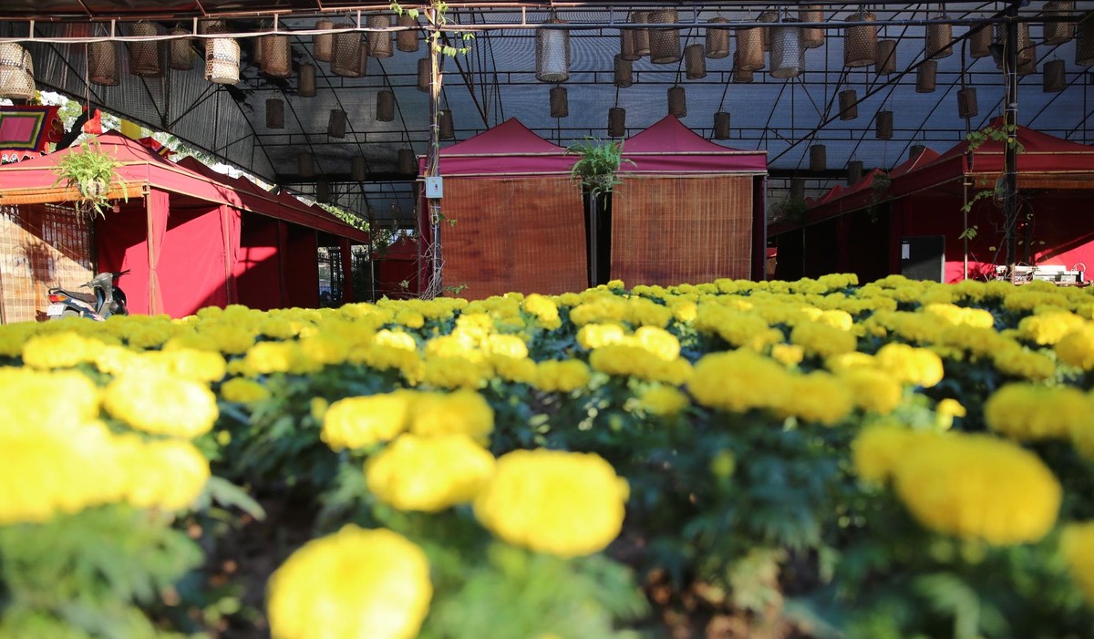 Do ảnh hưởng dịch bệnh, phố ông Đồ không tổ chức rầm rộ như mọi năm. Nhưng nơi đây vẫn được trang trí bằng hàng nghìn bông hoa rực rỡ màu sắc. Do ảnh hưởng dịch bệnh, phố ông Đồ không tổ chức rầm rộ như mọi năm. Nhưng nơi đây vẫn được trang trí bằng hàng nghìn bông hoa rực rỡ màu sắc.