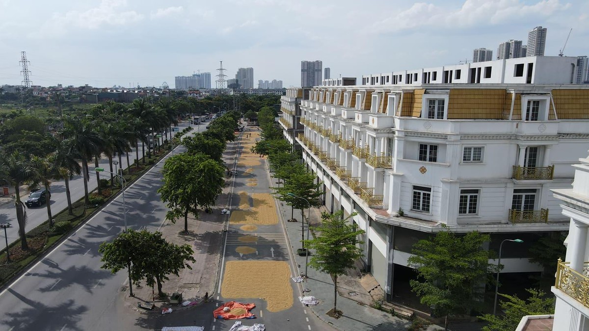 Vào những ngày này, nhiều người dân đã tận dụng phơi thóc tại mặt tiền của những ngôi shophouse bỏ không.