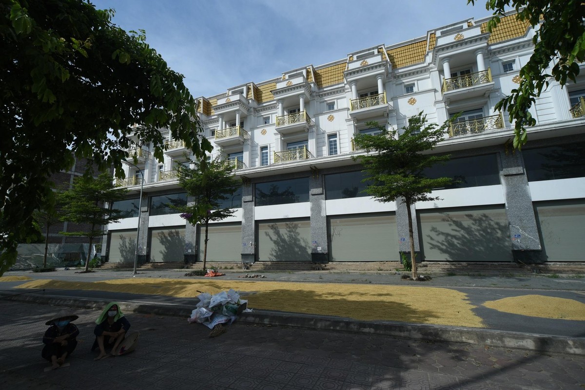 Khung cảnh khá lạ mắt khi những căn nhà hàng chục tỷ đồng thành sân phơi thóc.