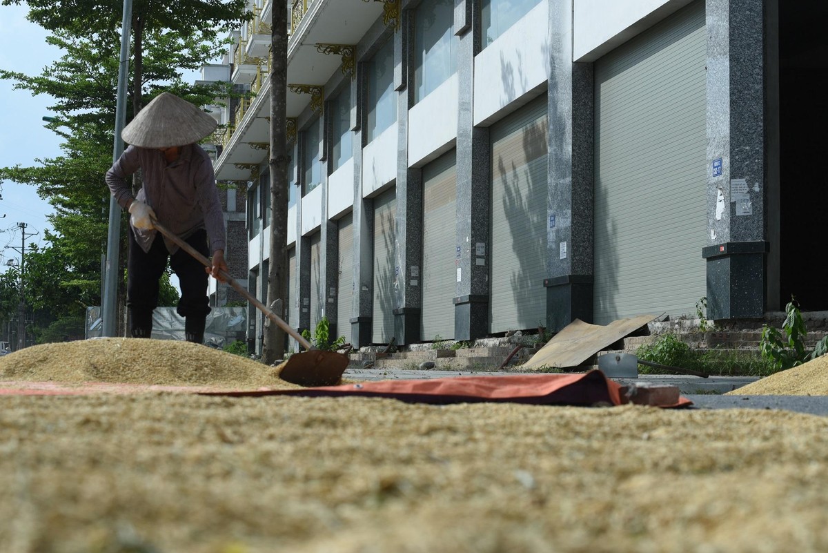 Những căn shophouse nói trên thuộc dự án khu C Geleximco Lê Trọng Tấn của tập đoàn Geleximco làm chủ đầu tư.