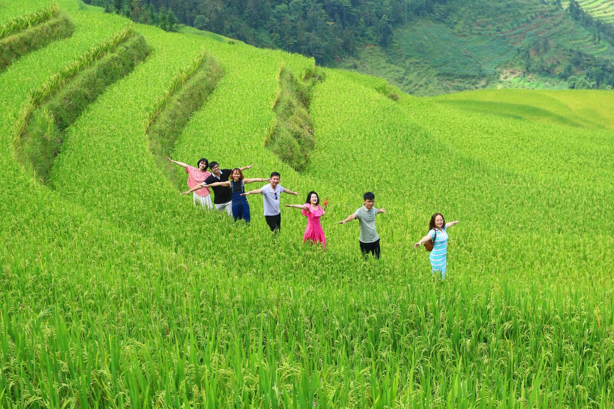 Đầu tháng 9, lúa chưa chín rộ, xen kẽ những bậc thang lúa chín nặng trĩu với những thửa lúa mới lên đồng, tạo những mảng xanh vàng mát mắt dưới làn mây trắng.