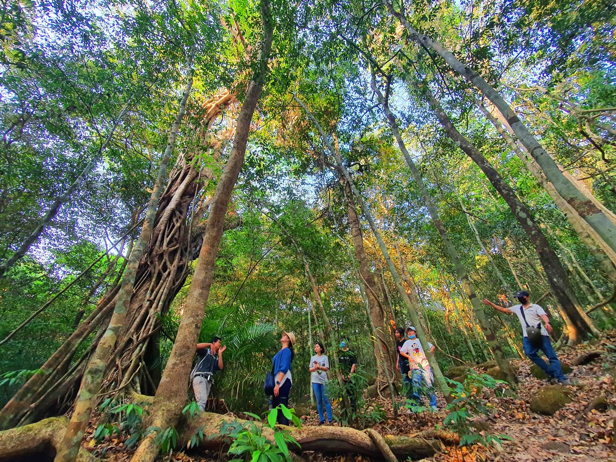 Anh Vỵ, hướng dẫn viên dẫn tour khám phá rừng luôn nhắc nhở du khách về ý thức bảo vệ rừng. Anh Vỵ, hướng dẫn viên dẫn tour khám phá rừng luôn nhắc nhở du khách về ý thức bảo vệ rừng.