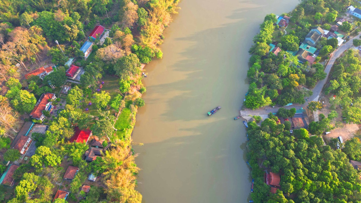 Du khách sẽ di chuyển bằng phà vào trong rừng. Du khách sẽ di chuyển bằng phà vào trong rừng.