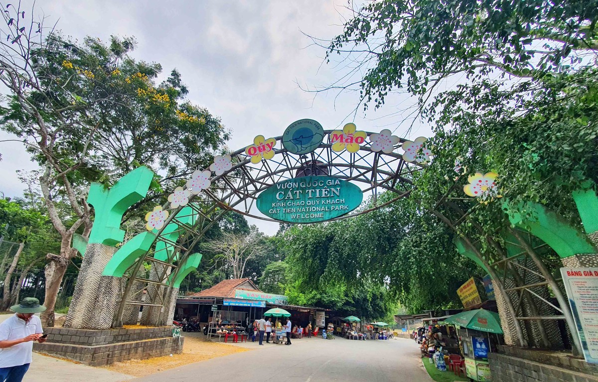 Khám phá vườn Quốc Gia Cát Tiên với chi phí khá hợp lý, người lớn là 60.000 đồng/lượt, trẻ em 10.000 đồng/lượt. Khám phá vườn Quốc Gia Cát Tiên với chi phí khá hợp lý, người lớn là 60.000 đồng/lượt, trẻ em 10.000 đồng/lượt.