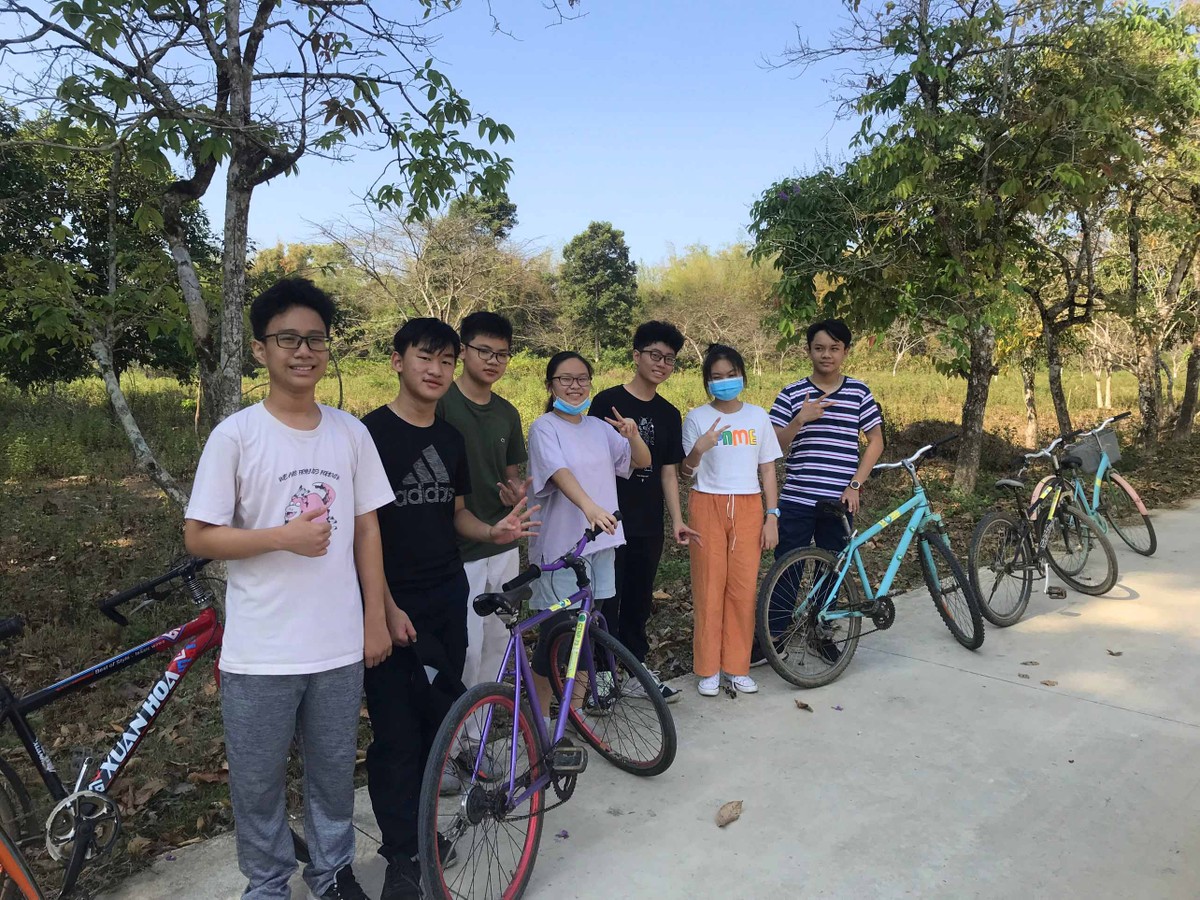 Du khách thuê xe đạp để tự khám phá rừng. Du khách thuê xe đạp để tự khám phá rừng.