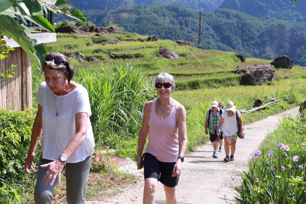 Không chỉ du khách trong nước, mà du khách nước ngoài cũng thích thú khám phá những ruộng lúa bậc thang nơi đây. Không chỉ du khách trong nước, mà du khách nước ngoài cũng thích thú khám phá những ruộng lúa bậc thang nơi đây.