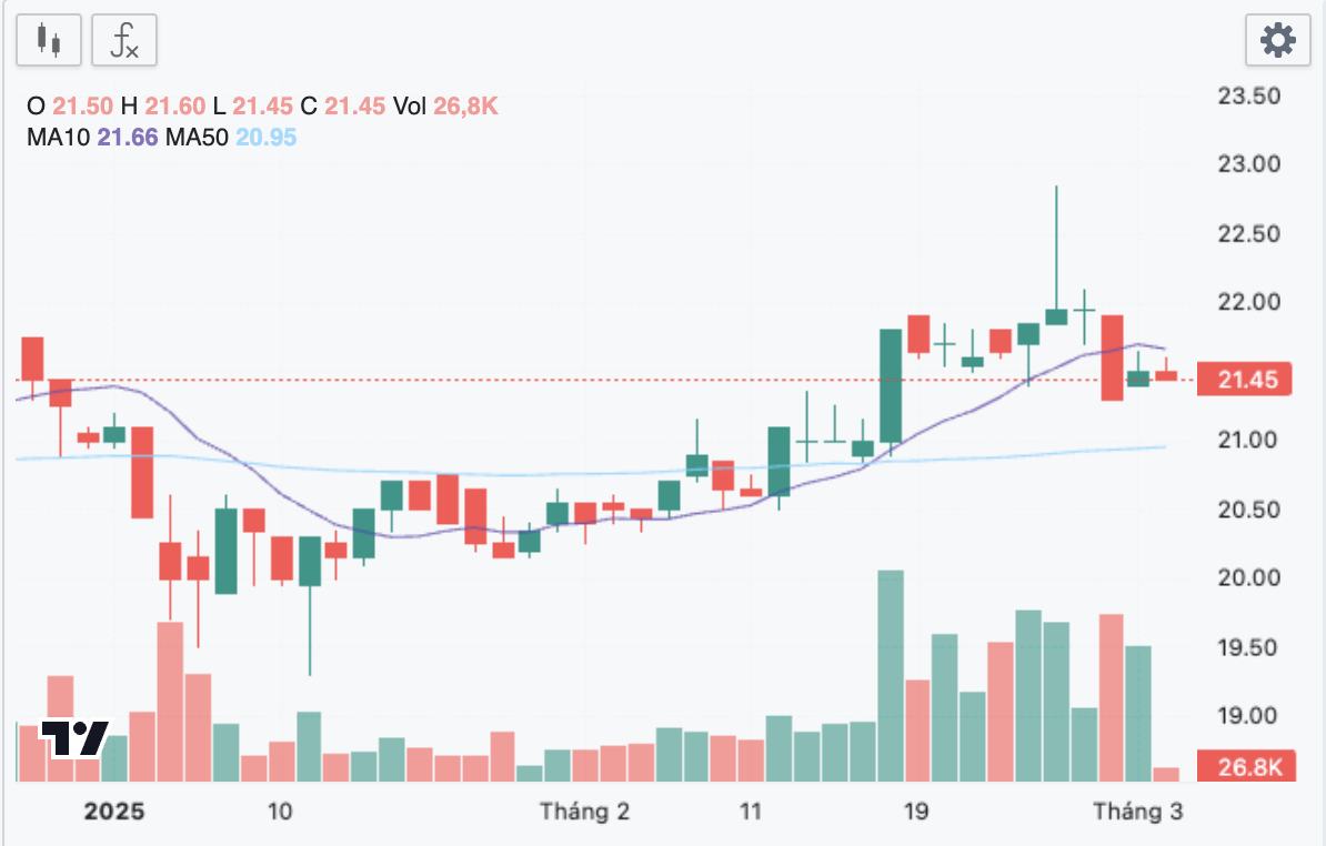 Diễn biến cổ phiếu BMI từ đầu năm (nguồn: Fireant)